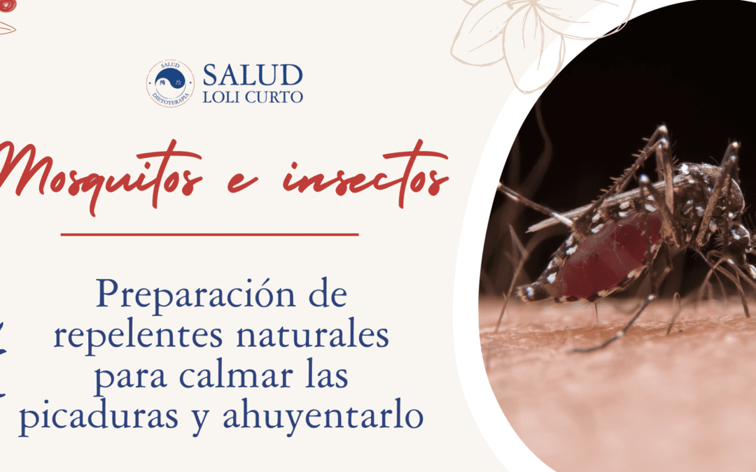 Mosquitos e insectos – Preparación de repelentes naturales para calmar las picaduras y ahuyentarlos