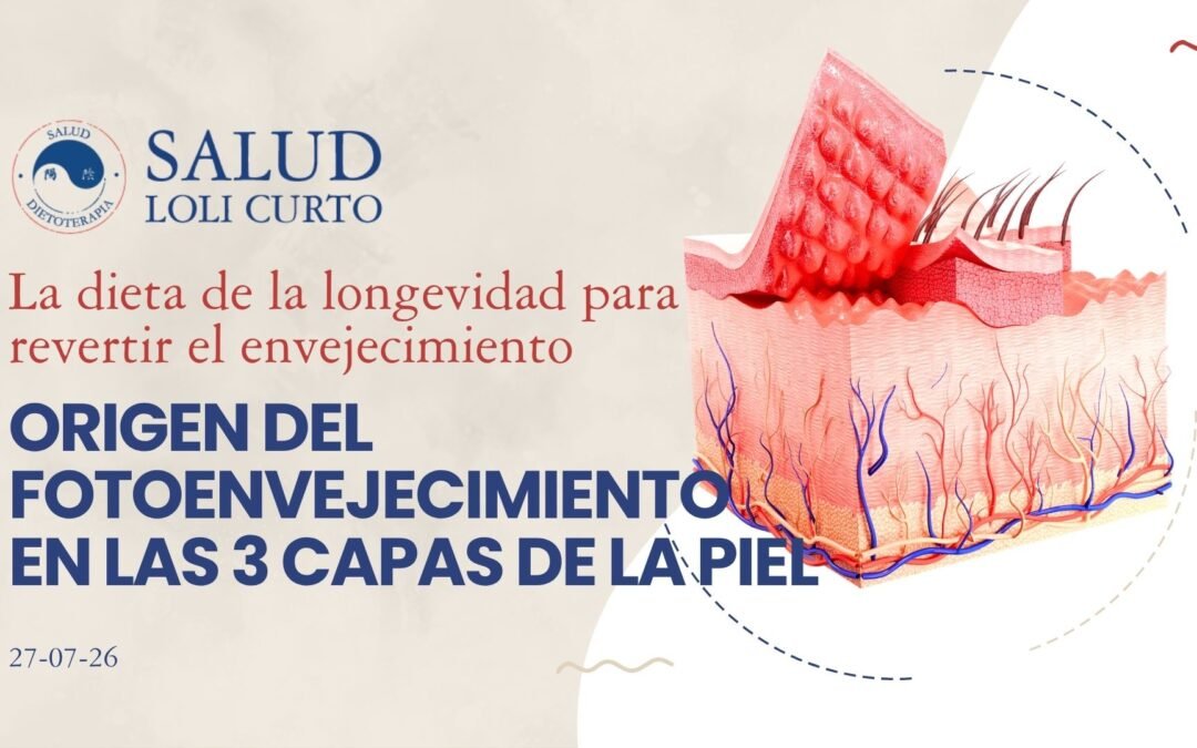 La dieta de la longevidad 27/06/26 – ORIGEN DEL FOTOENVEJECIMIENTO EN LAS 3 CAPAS DE LA PIEL