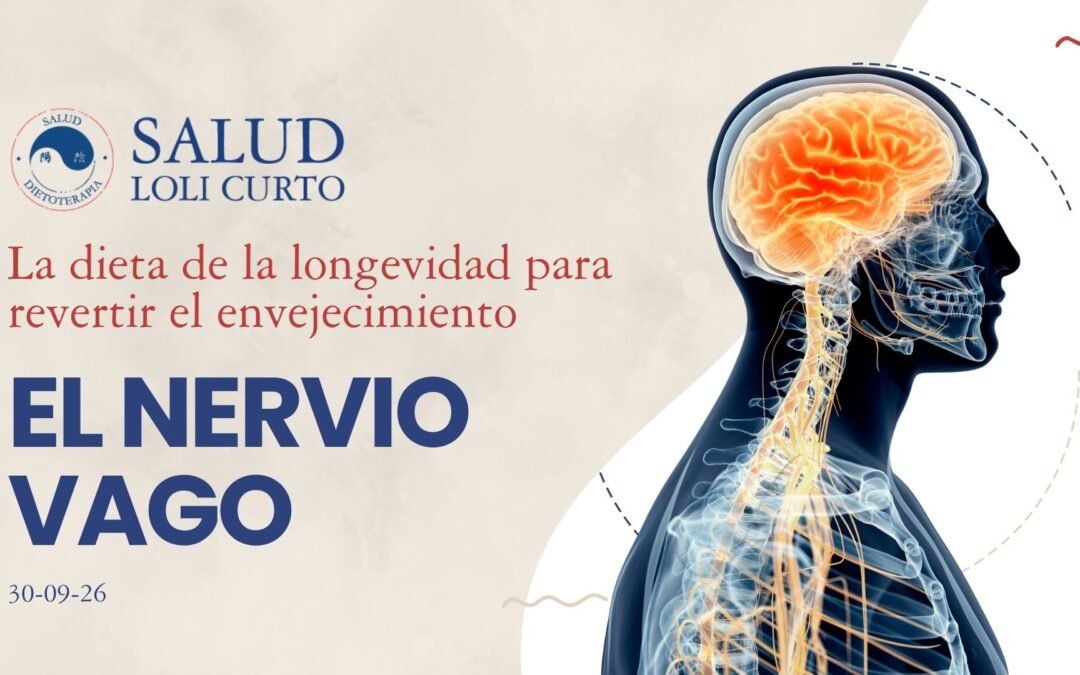 La dieta de la longevidad 30/09/26 – NERVIO VAGO: CLAVE PARA NUESTRA INMUNIDAD Y LONGEVIDAD